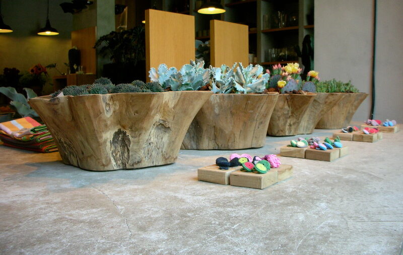 Rosalba Piccinni, i fiori ci parlano