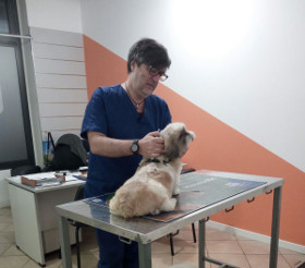 Caccianiga, il veterinario che cura anche le spese