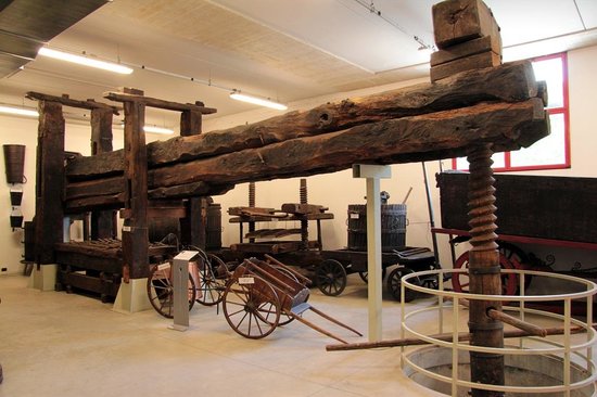 Museo Tino Sana, capolavori sbocciati dal legno