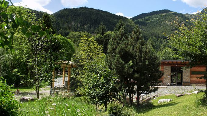 Vilminore di Scalve, il bosco “concentrato”