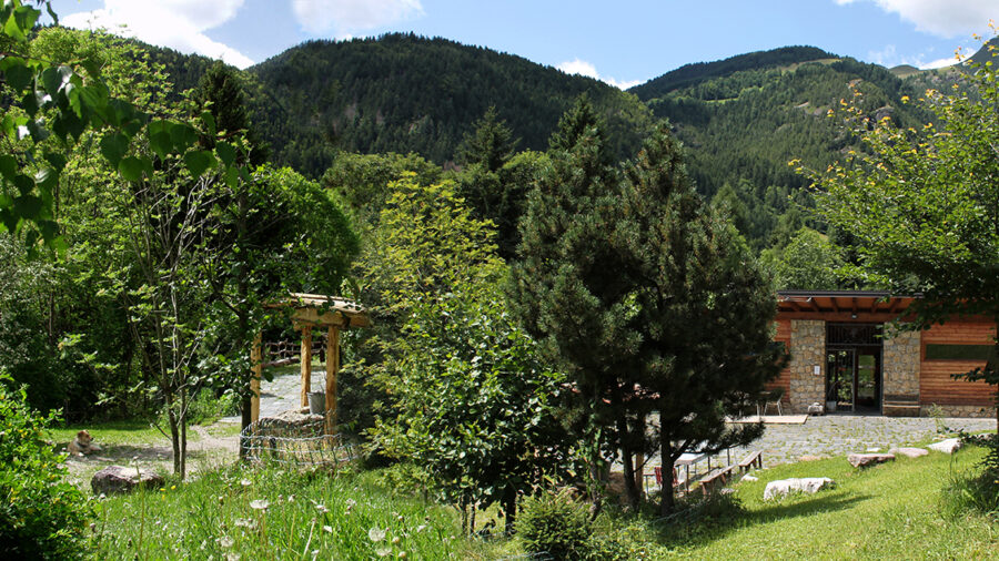 Vilminore di Scalve, il bosco “concentrato”