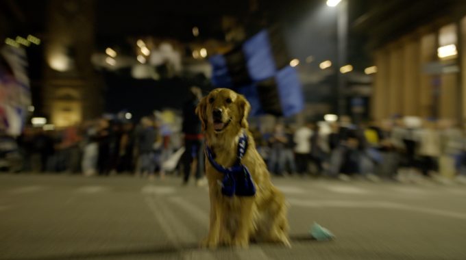 Atalanta, il tifoso più bello è anche il più fedele