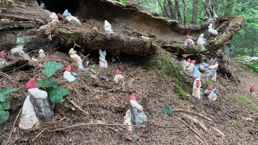 Boschi magici, ce n’è uno abitato dagli gnomi …