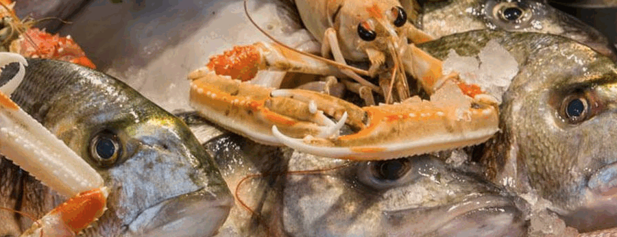 Orobica Pesca, i sapori più profondi del mare