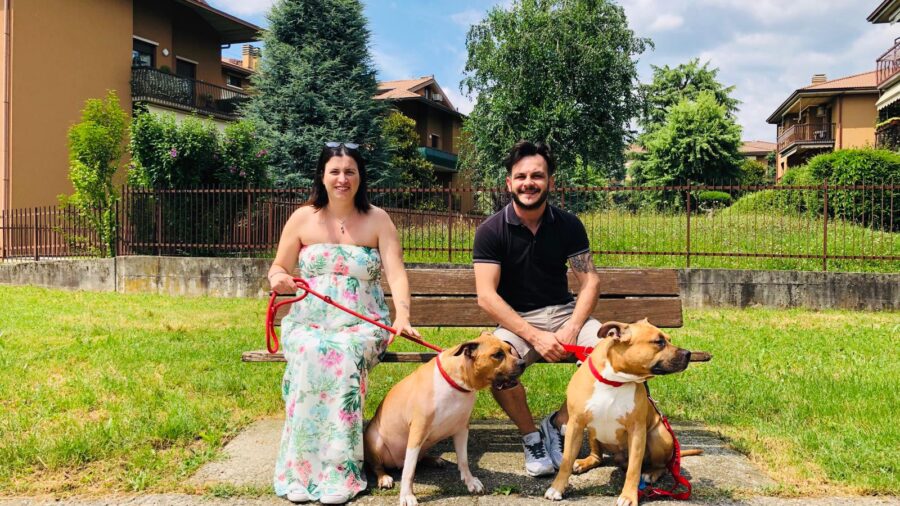 Meetmypet, il “sito d’incontri” per cani single…