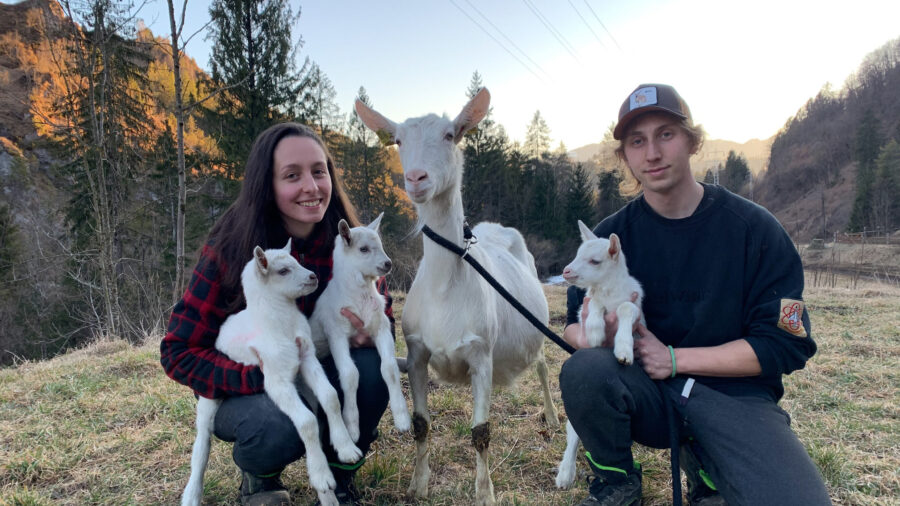Ol Paghèr, qui si allevano animali e sogni