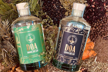 Doa, la distilleria che ha reinventato il gin