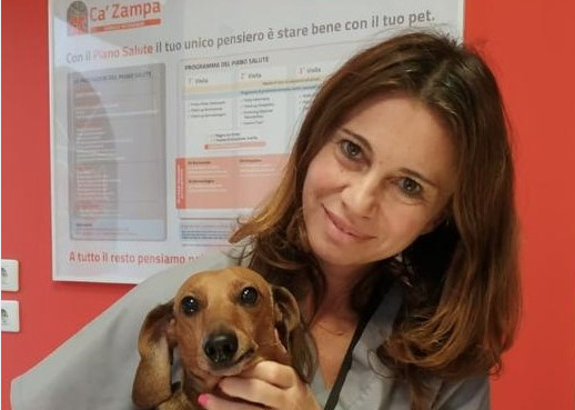 Ca’ Zampa, i veterinari che “ascoltano” gli animali