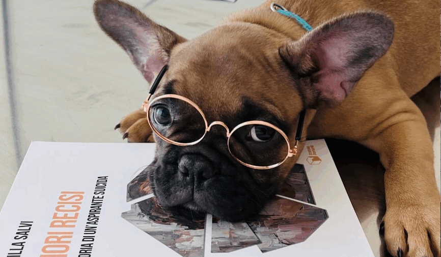 Fiori recisi, tutti leggono la veterinaria scrittrice