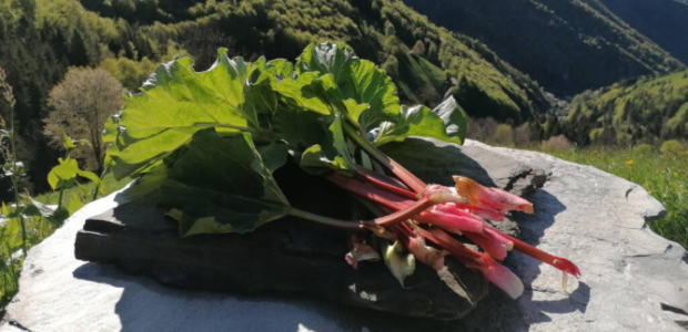 Baita Rosella, tutto il buono di piante e erbe