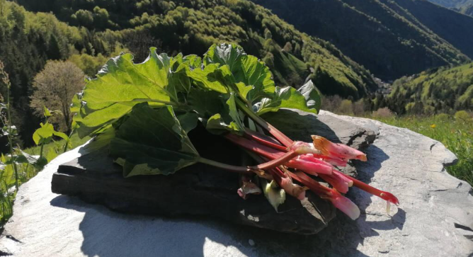 Baita Rosella, tutto il buono di piante e erbe