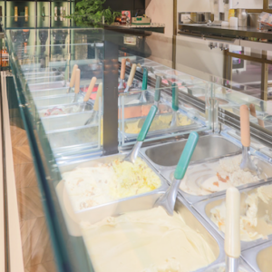 Gelateria Verderosa, Snoopy qui avrebbe  trascorso tutta la vita leccandola