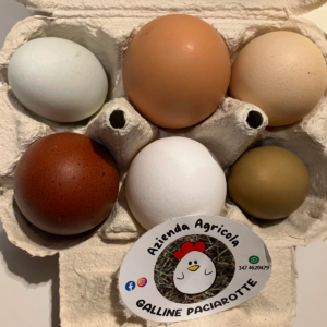 Azienda agricola galline Paciarotte, le uova sono   più buone quando gli animali crescono felici