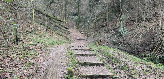 Sentiero dei Vasi, basta fare due passi a piedi <br/> per scoprire un “angolo di montagna” in città