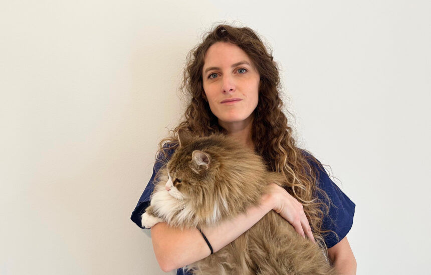 Dimmi che animale sceglierai<br>e ti dirò che persona dovrai essere