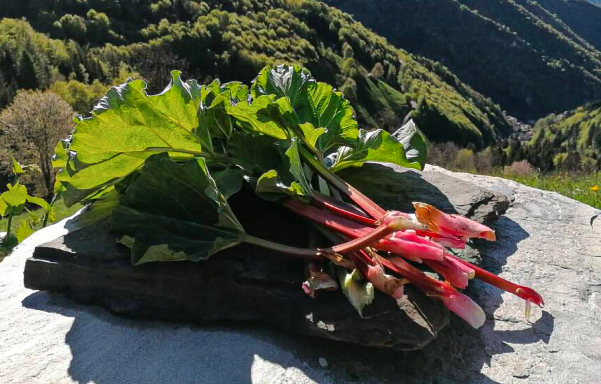 Baita Rosella, tutto il buono di piante e erbe <br/> direttamente dal produttore al consumatore