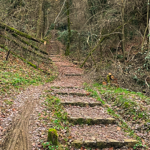 Sentiero dei Vasi, voi  state camminando in città    ma la sensazione è d’essere in alta montagna