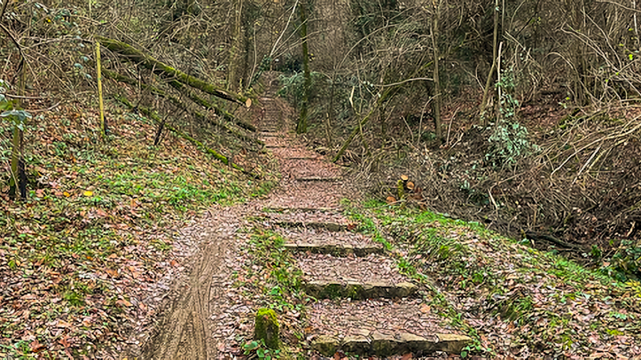 Sentiero dei Vasi, percorrerlo offre la sensazione <br/> d’essere in “montagna” pur restando in città