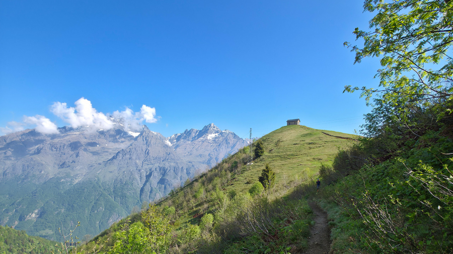 Giro ad anello a Lizzola: salita ai rifugi Campel e Mirtillo, il Passo della Manina e la discesa dalle Piane