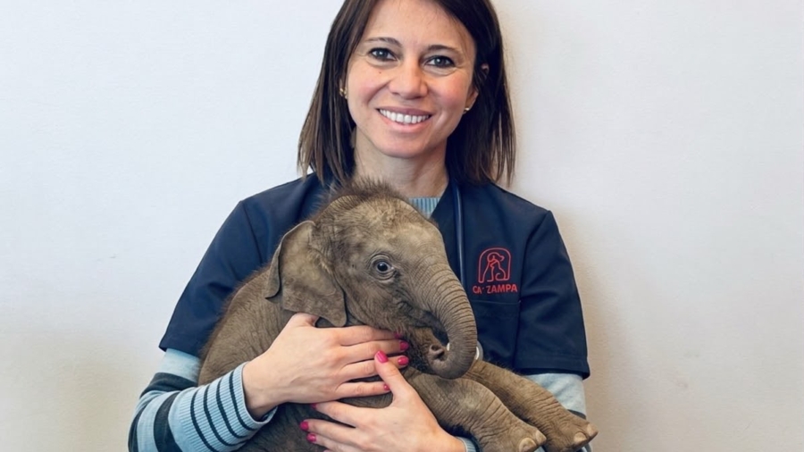 Scilla Salvi, la veterinaria che vi suggerisce <br> on line come far vivere al meglio gli animali